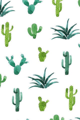 Desert Dreams: A Cacti Wonderland 🌵✨