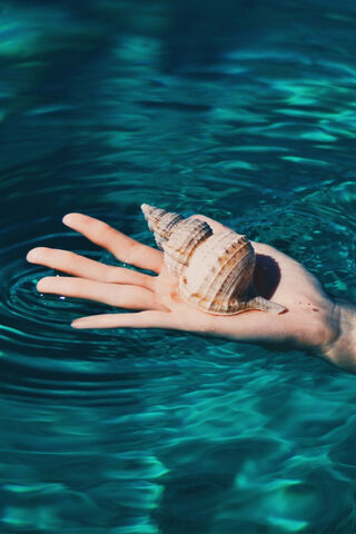 Nature's Masterpiece: The Shell in Water 🐚💧