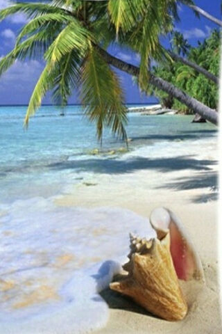 Deserted Island