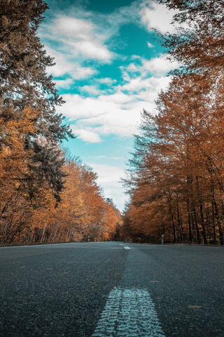 Forest Road