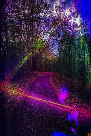 Mystical Pathway Through the Enchanted Forest 🌲✨