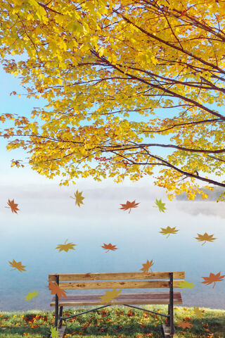 Fall Bench