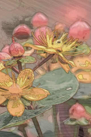 Whispers of Nature: A Floral Dream 🌸✨