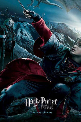 The Triwizard Tournament Awaits! 🏆🐉