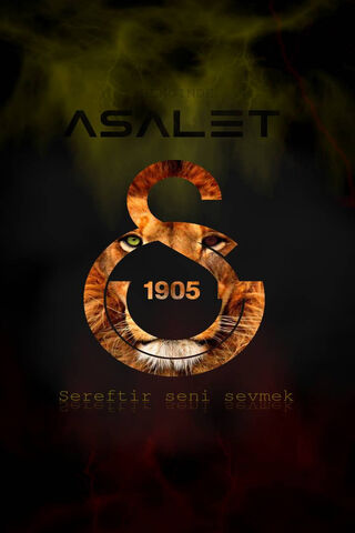 Roaring Pride: The Spirit of Galatasaray