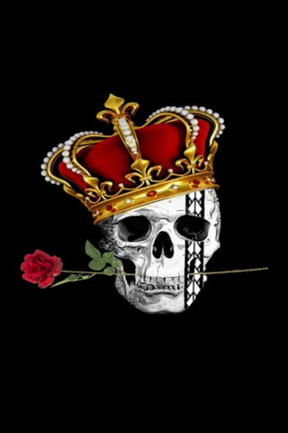 Crowned in Shadows: The Reign of the Highest King