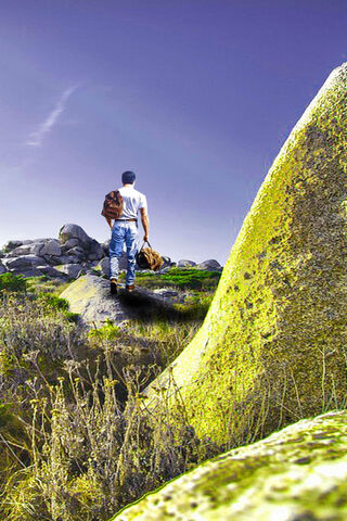 Homme Dans La Nature