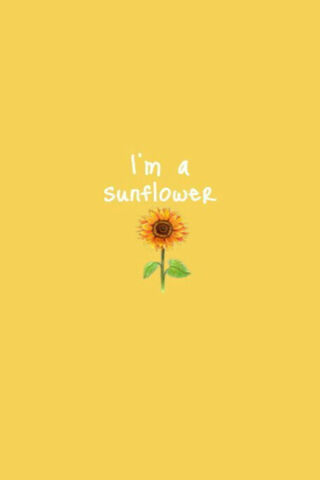 Im A Sunflower Wallpaper - Download to your mobile from PHONEKY