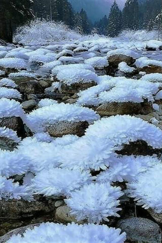 Iarna: The Winter Wonderland