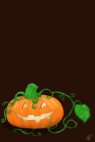 Jack O Lantern