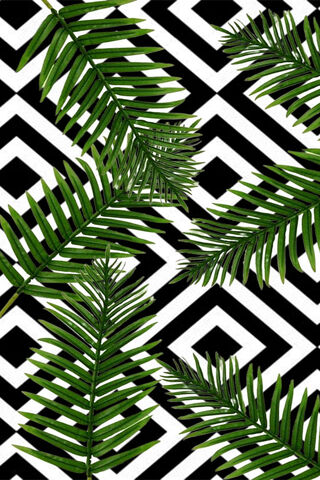 Tropical Geometry 🌴✨