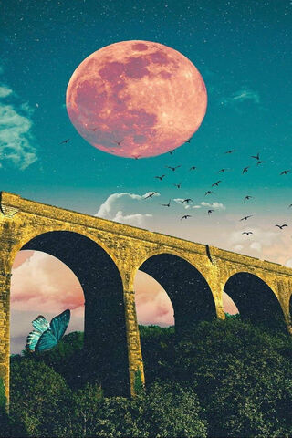 Luna's Enchanted Bridge 🌙🦋