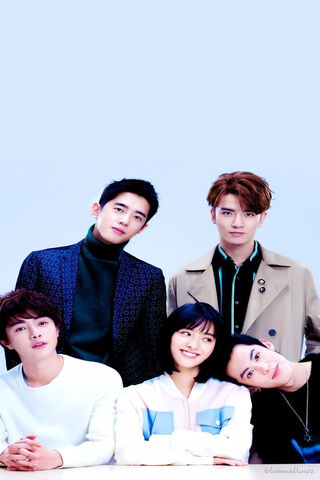 Stars of Meteor Garden: A Blossoming Friendship 🌟