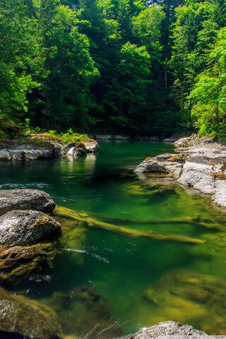 Tranquil Reflections at Memory Pond Lake 🌊🌲