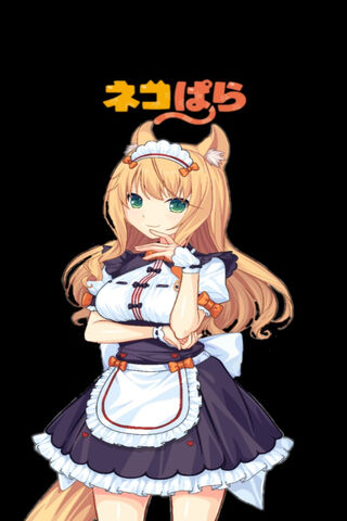 Nekopara Maple