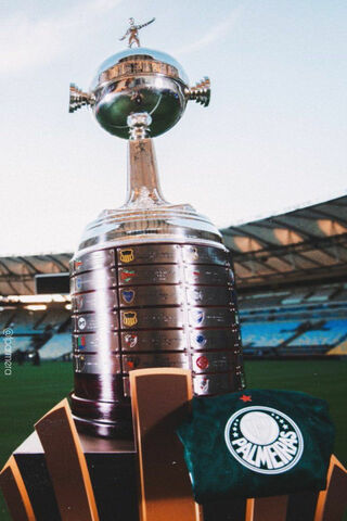 Palmeiras Triumph: The Glory of the Copa Libertadores 🏆💚