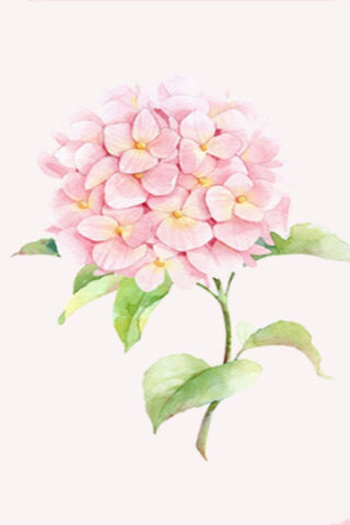 Blossoms of Serenity 🌸