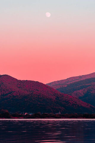 Pink Landscape