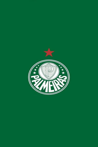 Palmeiras Pride: A Symbol of Passion ⚽️💚
