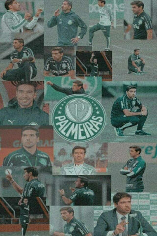 Palmeiras: A Legacy of Passion and Triumph ⚽💚