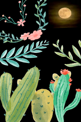 Moonlit Oasis 🌙🌵