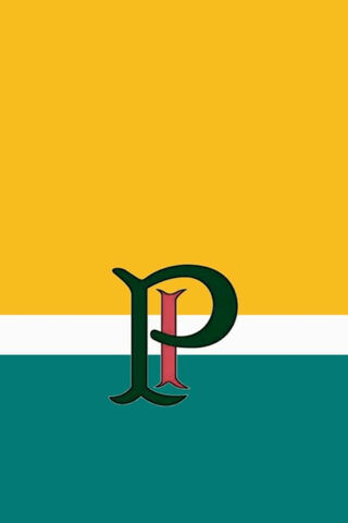 Palmeiras Pride: A Symbol of Passion ⚽💚