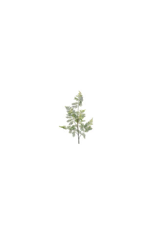 Nature's Green Elegance 🌿