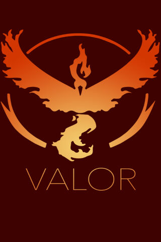 Pokemon Team Valor