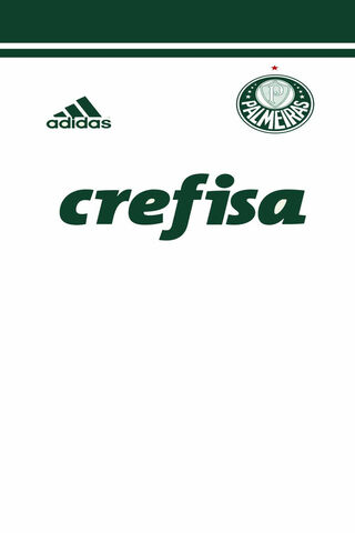 Palmeiras Pride: A Legacy in Green and White 🌿⚽