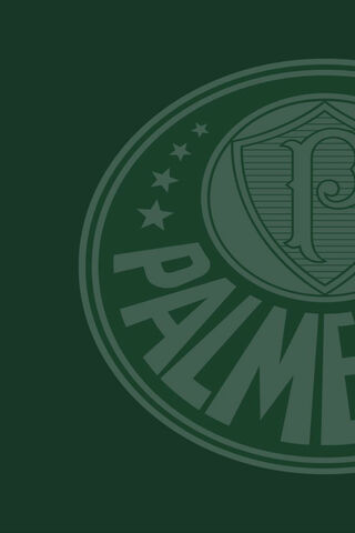Palmeiras Pride: A Legacy in Green 💚⚽