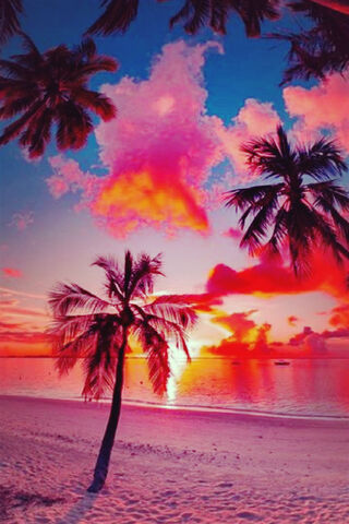Tropical Dreamscape: A Sunset in Pink Paradise 🌅🌴