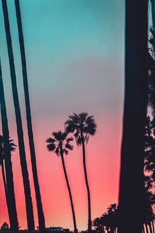 Tropical Twilight Bliss 🌴🌅
