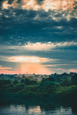 Whispers of the Rainforest 🌿✨