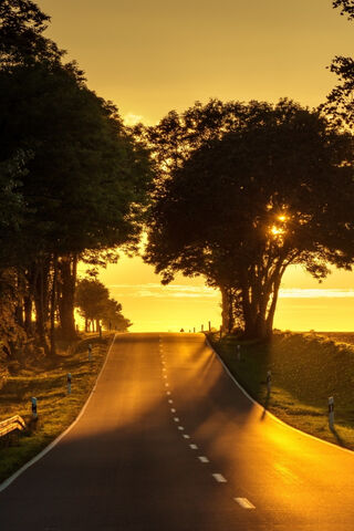 Golden Pathway: Embracing the Sunlight