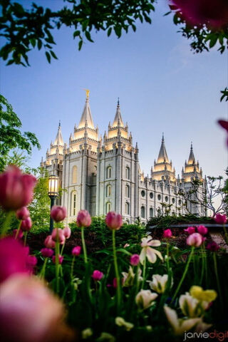 Templo De Salt Lake