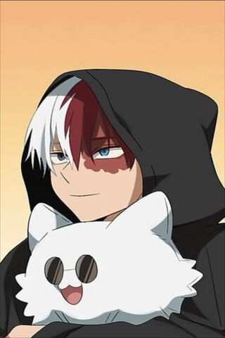 Todoroki Shoto Cute