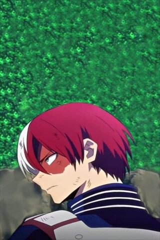 Todoriko Shouto 7w7