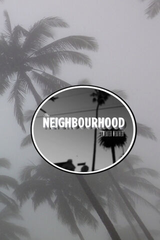 Misty Vibes of The Neighborhood 🌫️🌴