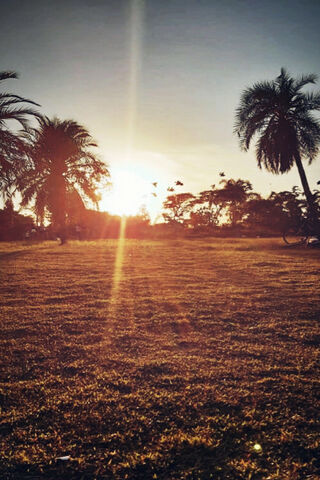 Sunset Serenity at Villa Lobos Park 🌅🌴