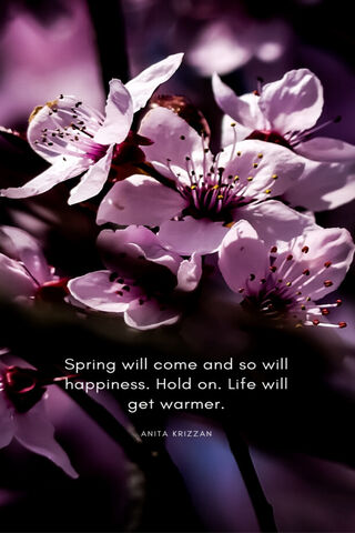 Blossoms of Hope 🌸✨