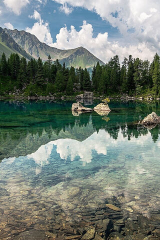 Tranquil Reflections in Nature's Embrace 🌲🏞️