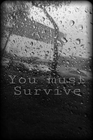 Survival Through the Storm 🌧️💪