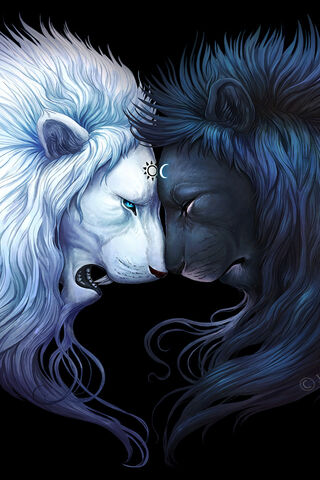 Ying Yang Lions