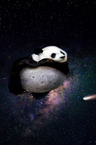 Autumn's Cosmic Embrace 🌌🐼