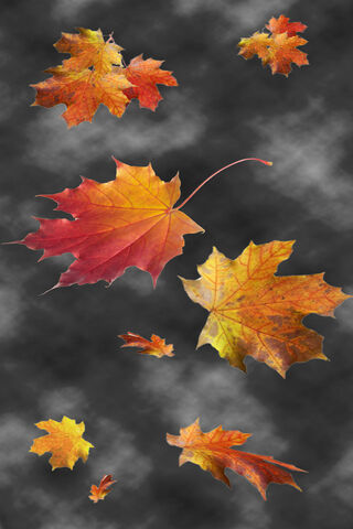 Whispers of Fall 🍂✨