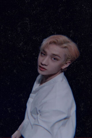 Bang Chan: The Charismatic Leader of Stray Kids 🌟