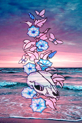 Boho Beach Vibes 🌊🌸