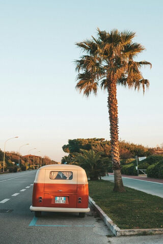 Sunset Vibes: The Beach Van Adventure 🌅🚐