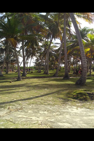 Tropical Paradise: Discovering Colombia's Hidden Gems 🌴✨