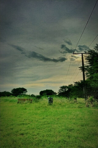 Whispers of Nature: A Creative Escape 🌿✨